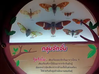 อาคาร 4 ธรรมชาติและสิ่งแวดล้อม