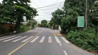 Đoàn Lân Sư Rồng Cẩm Minh Thiên Hồ