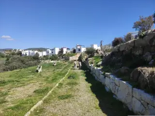 Rakıjı