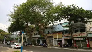 Bánh Tráng Mắt Tròn Vũng Tàu — фото 3