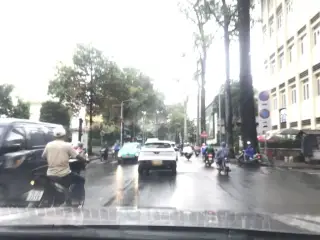 Gà 9 Quý