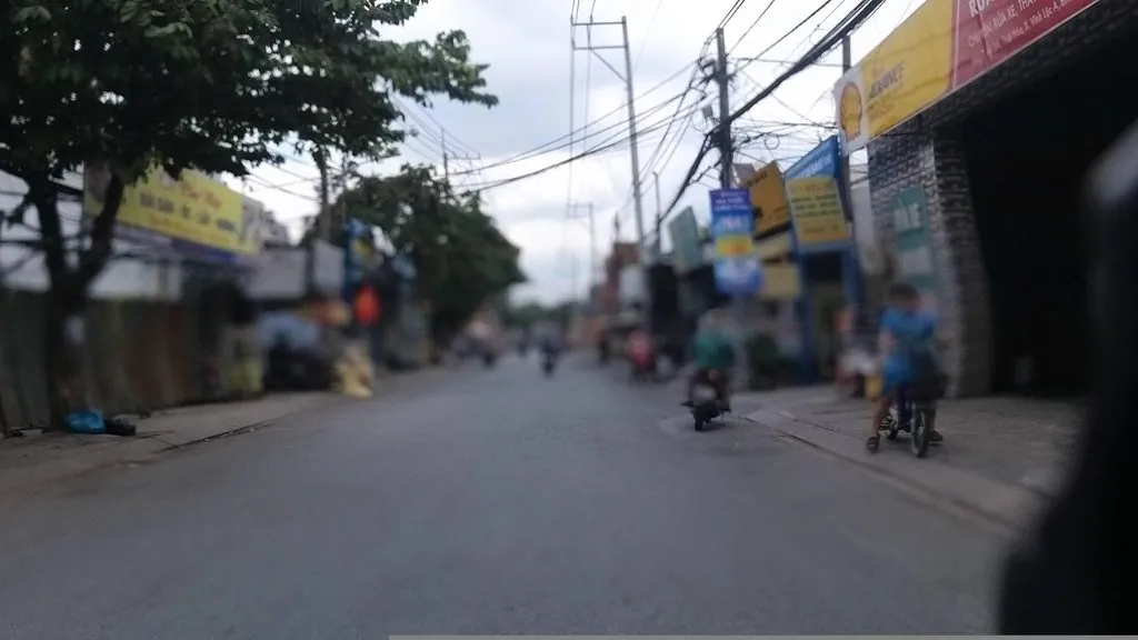 Rèm phương nam