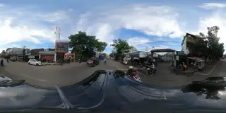 DSIP