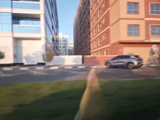 The Bricks