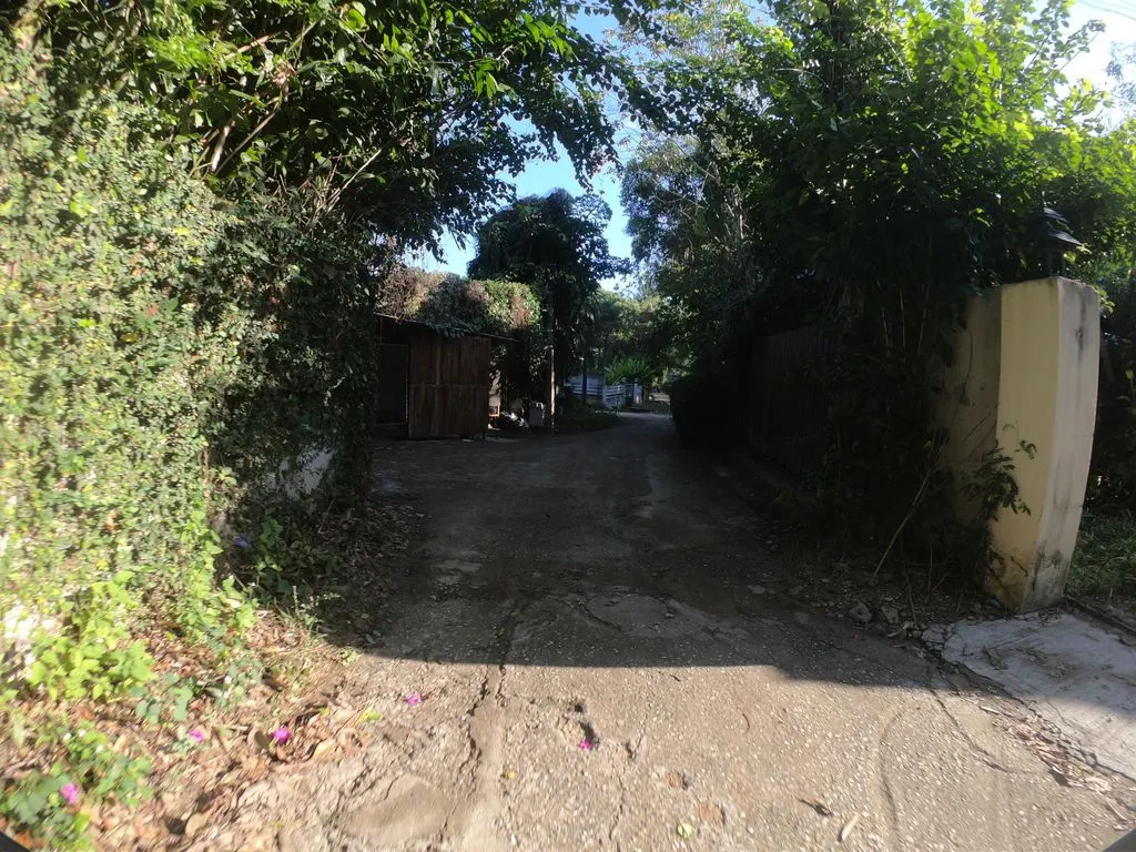 Chiang Mai Visa Run