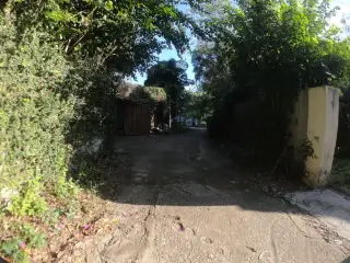 Chiang Mai Visa Run
