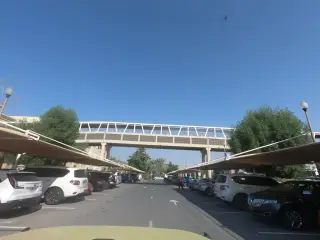 Olympia Rak Gymnastics
