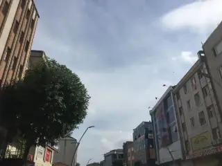 Mola