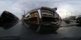 Tang Na Seng Yang Ynt