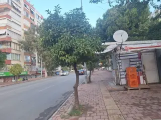 Çimen Kitap Kırtasiye