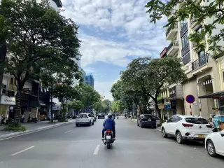 Cha Hong Pao Vietnam