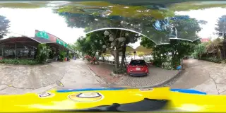 Trau Ha Noi