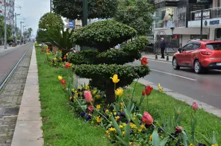 Antalya Güneş Optik — photo 2