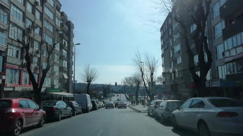 Billice Borek Dunyasi