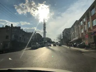 Elit sineklik