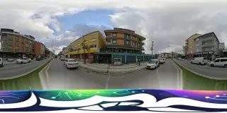 Şok