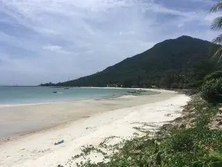 Beach Garden