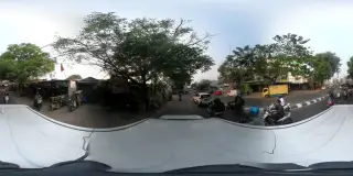 Dodo Racing