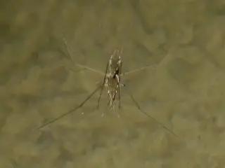 Turgut Şelalesi — фото 2