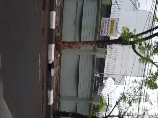 Bebek Sambel Ijo