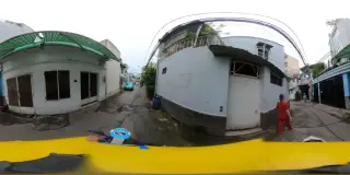 Trị Rụng Tóc - Trị Hói Đầu - Kích Thích Mọc Tóc Nhanh