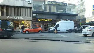 Modaalasirinevler