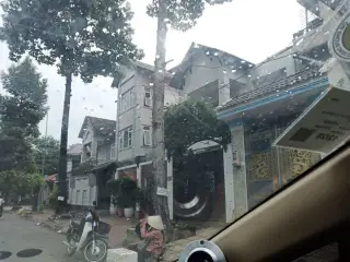 Bonario