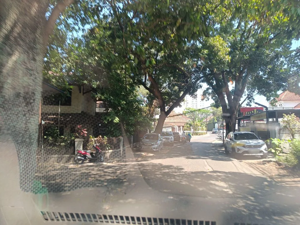 Zola Zolu Gallery