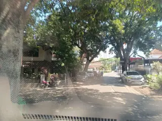 Zola Zolu Gallery