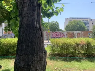 Tarz Dans