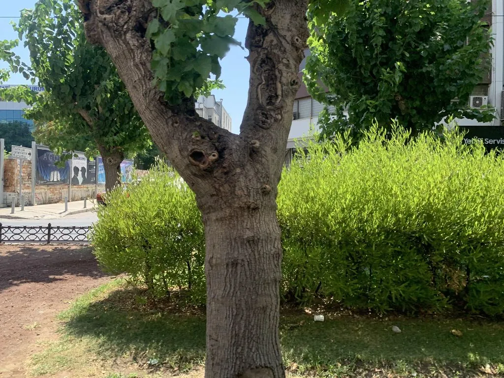 Koc ve Ozsenogullari Avukatlik Burosu