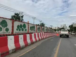 Capulus Bkk.