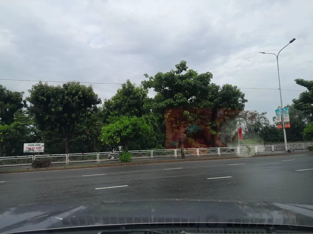 Lẩu cá kèo Nam Bộ