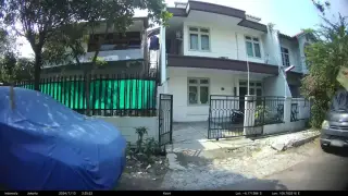 Pisang Ungu