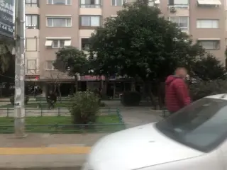 Vetto Veteriner Kliniği