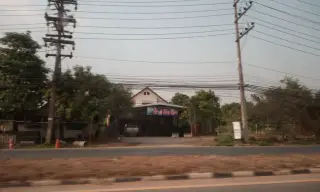 S.Yang Ynt