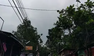 Yadhi Cell