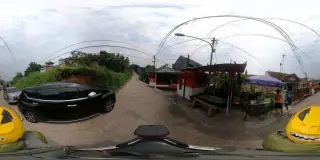 Trans17