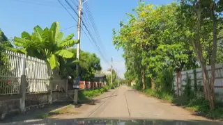 Khlinik Swn Dxk Kar Phaethy