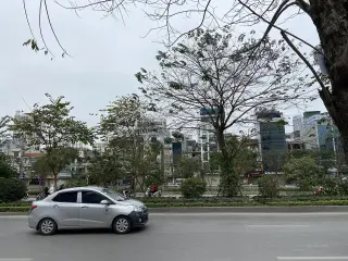Điện Máy Pico Đường Láng — รูปที่ 4