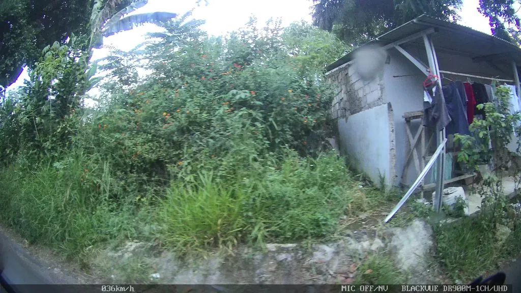 Pondok Kucing Bandung
