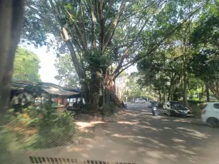 School of Business and Management ITB