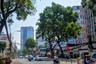 miếu bà Kim Ngọc Thành — фото 1