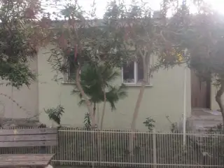 Sasali Insaat Dekorasyon
