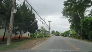 Wad Pa Lan