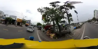 Sao Việt