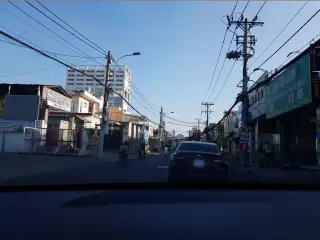 Trà bồ công anh
