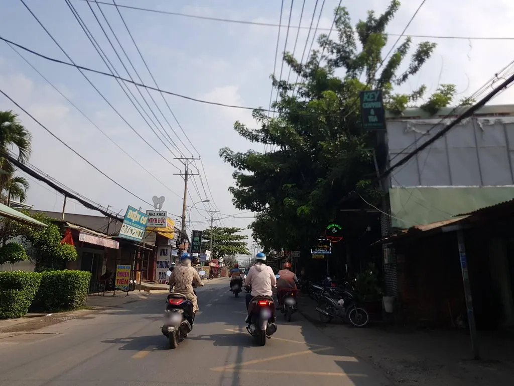 Cội chim Tùng Võ