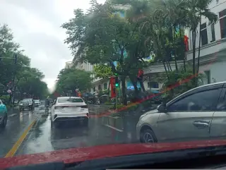 Hoạ Trà Viên