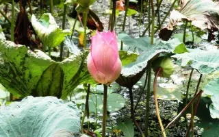 Travel Thailand — รูปที่ 3